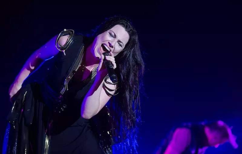 WAKE US UP INSIDE, AMY LEE! - yakub88 / Shutterstock.com
