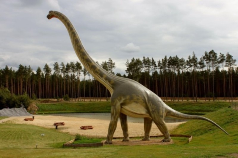 What happens when a Brontosaurus gets a sore throat? - COURTESY OF CANTERBURY VILLAGE EVENTS