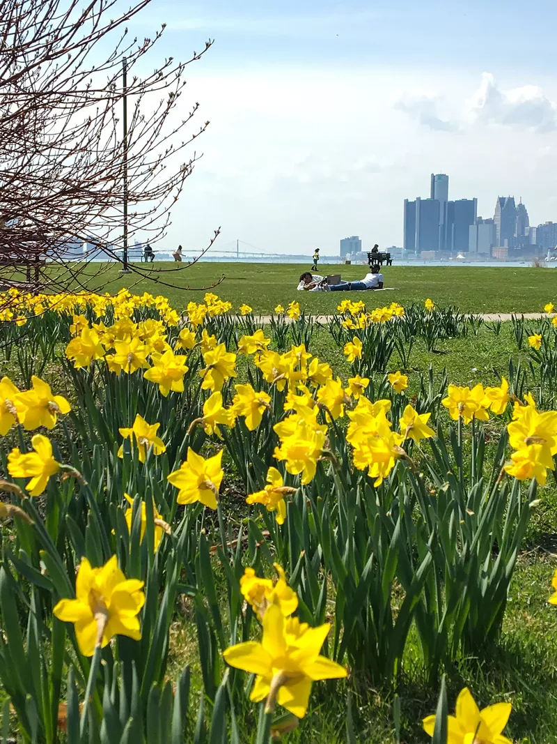 Courtesy of The Belle Isle Conservancy