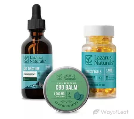 Top CBD Brands to Try – Wide Range of CBD Infused Products