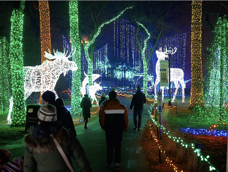 The Detroit Zoo's annual Wild Lights returns with millions of lights and lots of festive flare. - Courtesy of the Detroit Zoological Society.