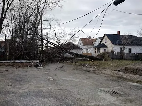 A fallen tree pulled down power lines at Gallagher and Carpenter yesterday, causing a fire. - Photo courtesy Steven Cherry