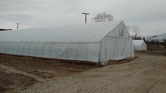 Luckily, Recovery Park's plastic greenhouses could stand the wind. - Photo by Michael Jackman