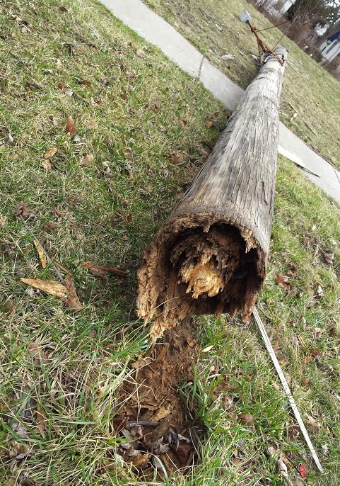 Taken this morning at Cadillac Boulevard between Kercheval and Charlevoix. - Photo by Gregg Newsom