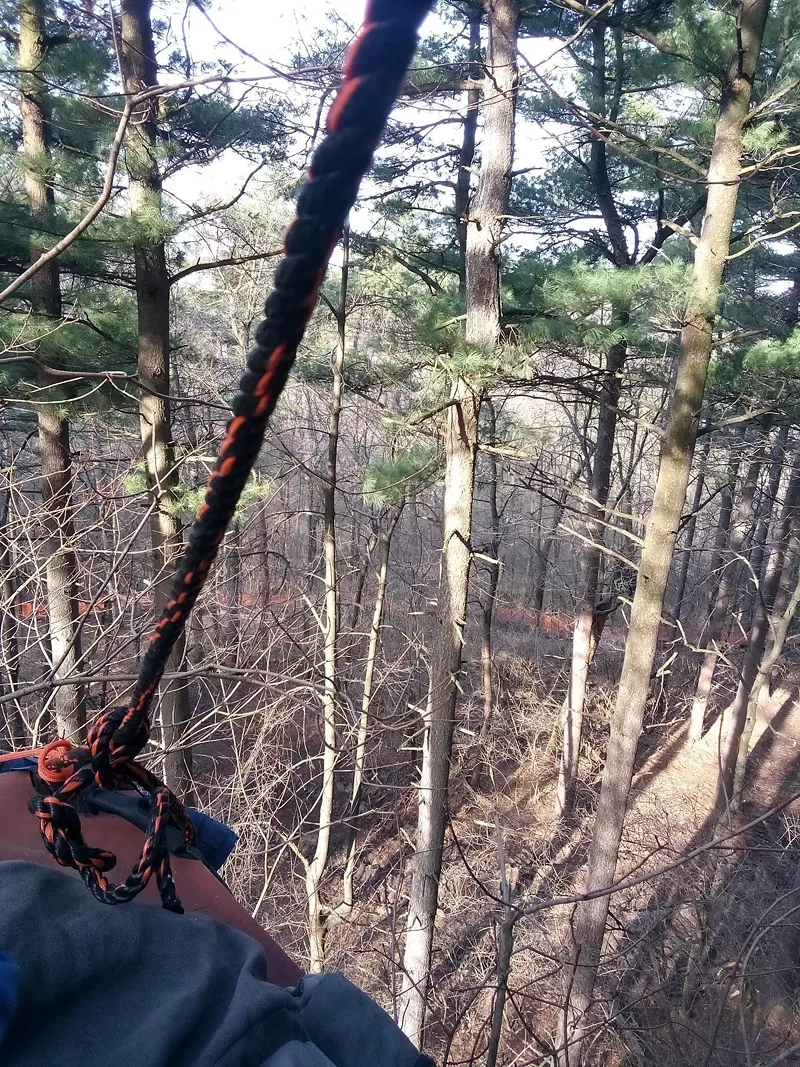 A protester is sitting in a tree to stop the destruction of forested land in Ann Arbor. - FIGHT Concord Pines