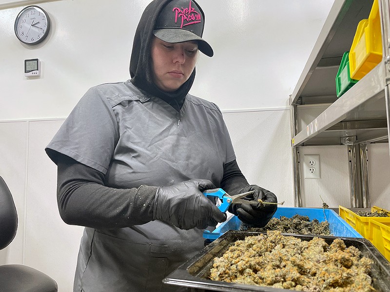 A former worker at an elementary school, Ashley Maldonado says she has a higher quality of life working as a cannabis trimmer. - Randiah Camille Green