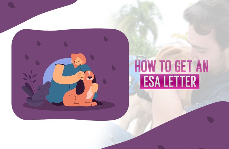 How to Get an Emotional Support Animal Certification (ESA Letter)