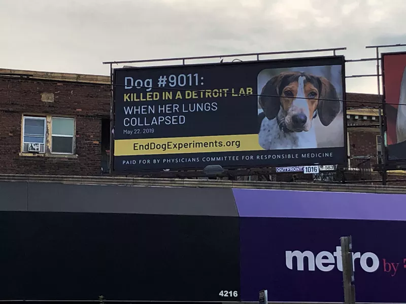 One of four billboards displayed in Detroit as part of a campaign calling on Wayne State University to end experiments on dogs. - Steve Neavling