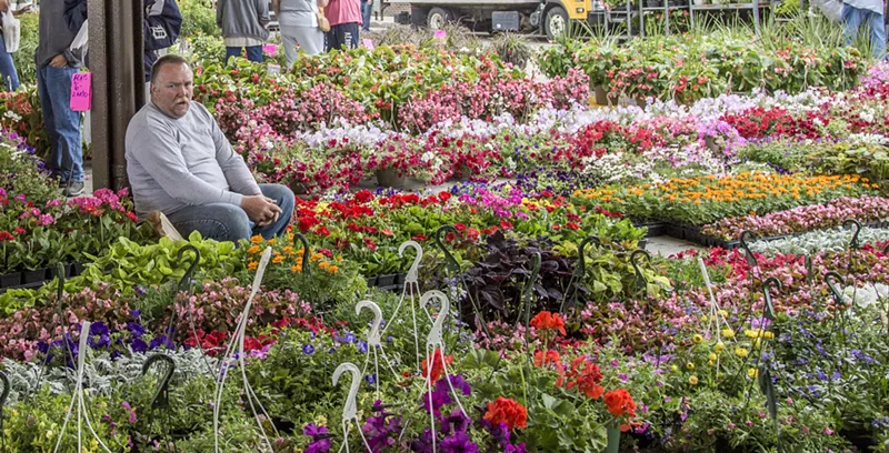 Flower Day is back in Detroit’s Eastern Market. - Evan Gonzalez, Detroit Stock City