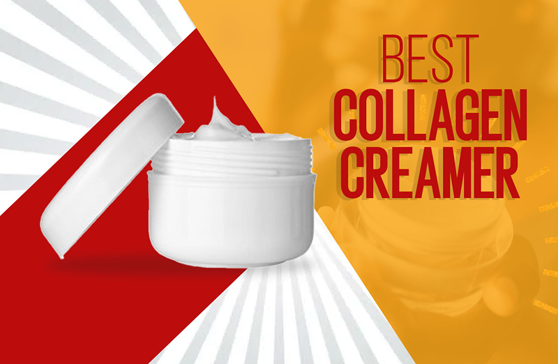 Best Collagen Creamers Ranked 2022
