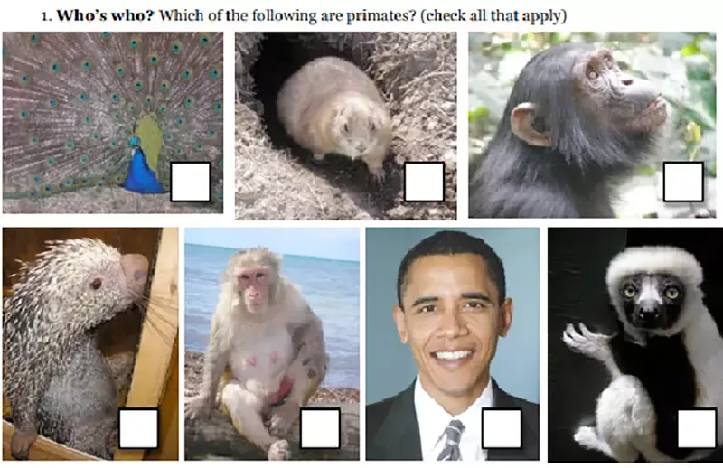 An assignment used by Birmingham's private Roeper School uses a photo of President Barack Obama in a worksheet asking students to identify primates. - Duke University
