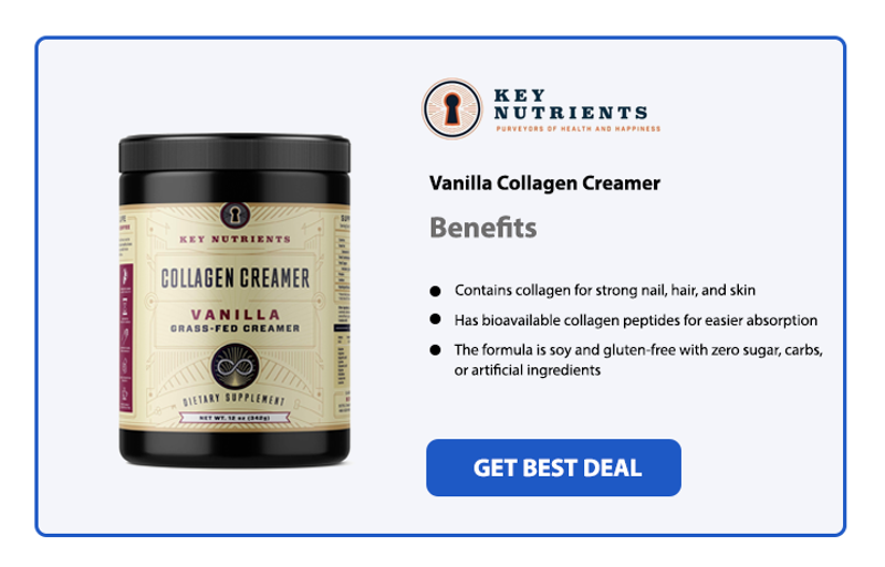 Best Protein Coffee Creamers in 2022