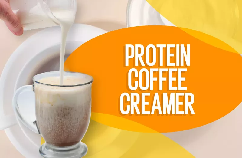 Best Protein Coffee Creamers in 2022 (4)