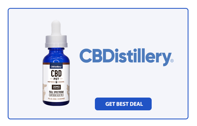 Top 6 Best CBD Oil for Dogs with Arthritis in 2024 (5)