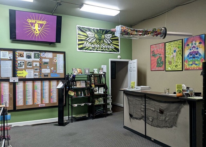 Seed Cellar in Jackson sells about 3,000 cannabis strains from 80 different breeders. - Courtesy of Seed Cellar
