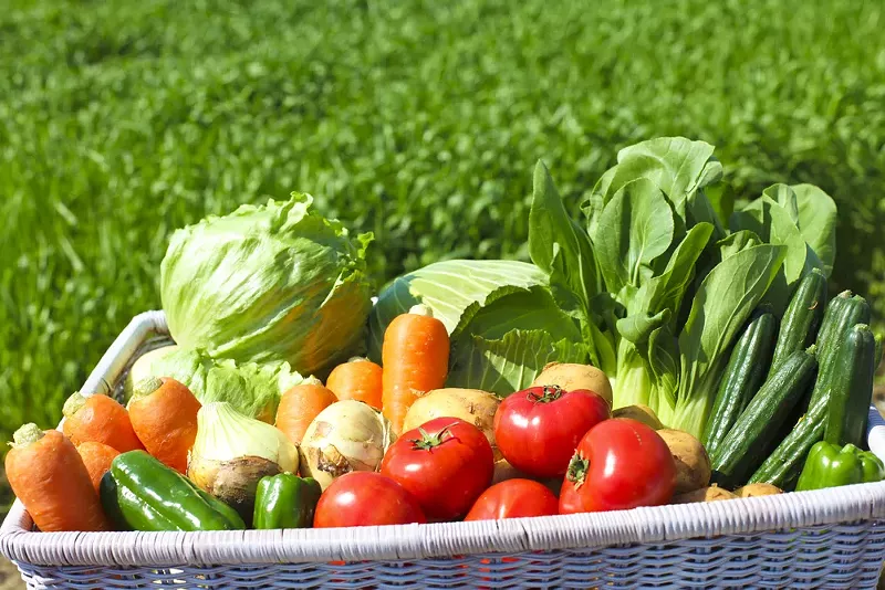 The Michigan Department of Agriculture and Rural Development is advising consumers not to eat any products from Kuntry Gardens. - kazoka/ Shutterstock