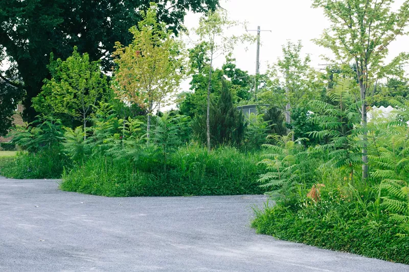 At Core City’s “PARK(ing)” lot, parking spaces are nestled among foliage. - Andrew Schwartz