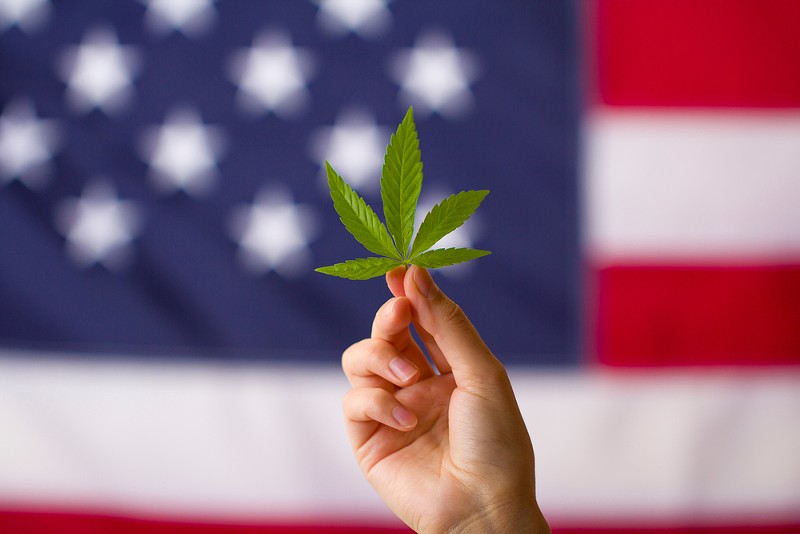 The Veteran Compassion Care program could help veterans with free cannabis and also help manage the state's surplus. - Shutterstock