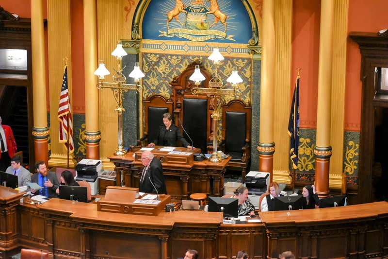 House Speaker Pro Tem Laurie Pohutsky presides over the House on the first day of session, Jan. 11, 2023. - Laina G. Stebbins