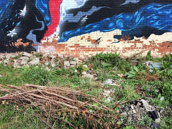 Large piles of construction debris pictured last year. It has sat on one of Velleman's lots for so long that it's now covered by tall weeds. - Photo by Tom Perkins