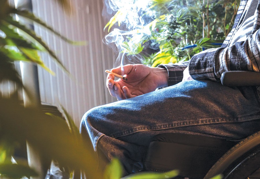 Frank Gallagher sits among his marijuana plants. A caregiver for the past eight years, Gallagher is hoping to break into the commercialized medical marijuana industry created by laws passed last year in Lansing. - Jacob Lewkow