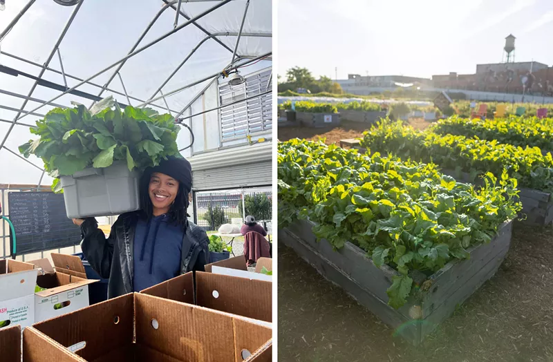 Farmers drop the produce they promised for the week at KGD on Wednesday for CSA members to pick up on Thursday. - Keep Growing Detroit