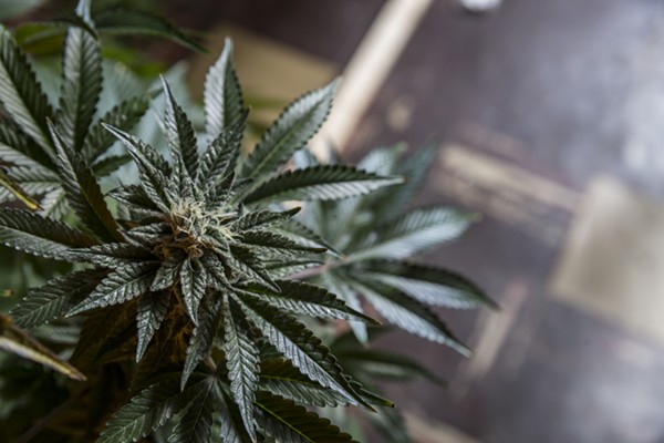 A month past deadline, Gov. Snyder has still not seated marijuana board to issue new licenses