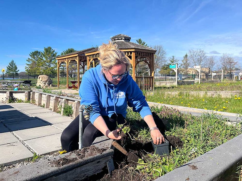 Sarah Kuschell planting in the Grand Traverse Area Children’s Garden on May 2, 2024. Kuschell is the garden’s executive director. - Izzy Ross/IPR News