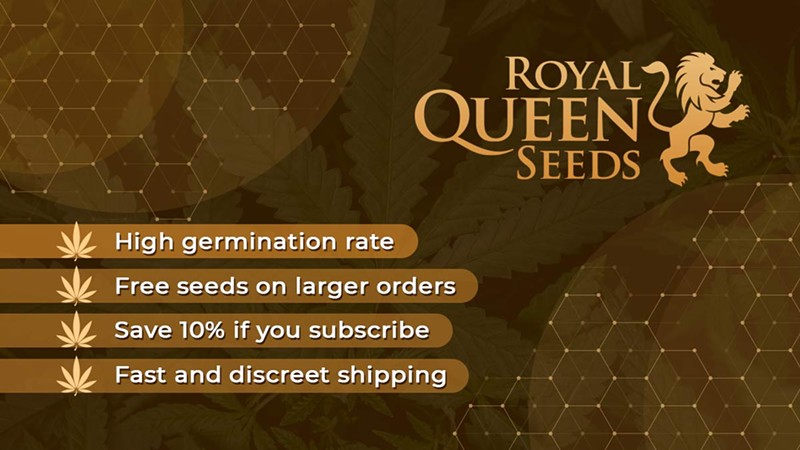 Where to Buy Marijuana Seeds for Sale (3)