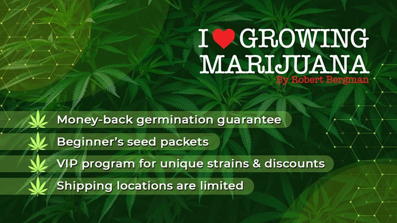 Where to Buy Marijuana Seeds for Sale (7)