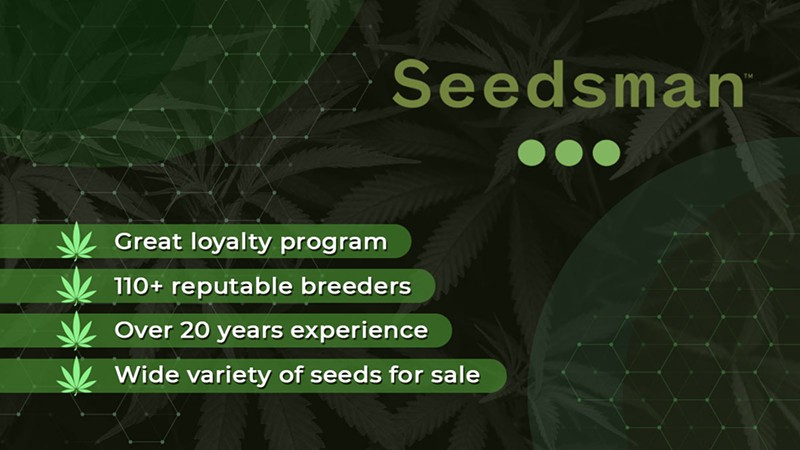Where to Buy Marijuana Seeds for Sale (9)