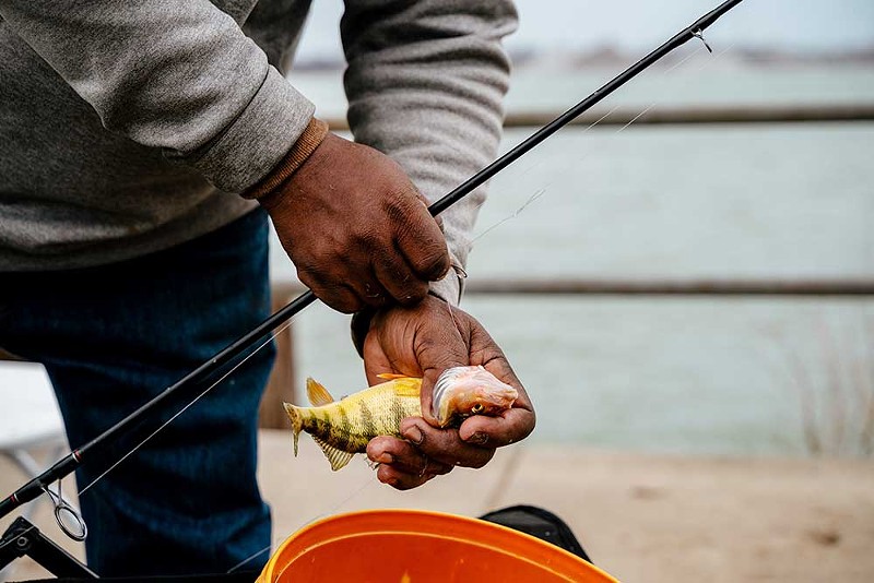 Ivan Bentley unhooks a caught fish and drops it into a bucket at Delray Park. - Nick Hagen