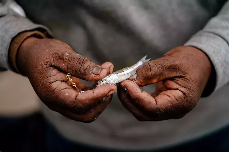 Ivan Bentley, 63, hooks bait onto his fishing line at Delray Park. - Nick Hagen
