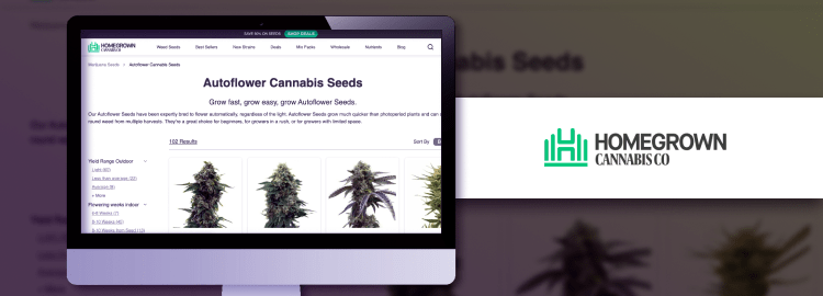 Best Seed Banks: Top 12 Reputable Cannabis Seeds Vendors