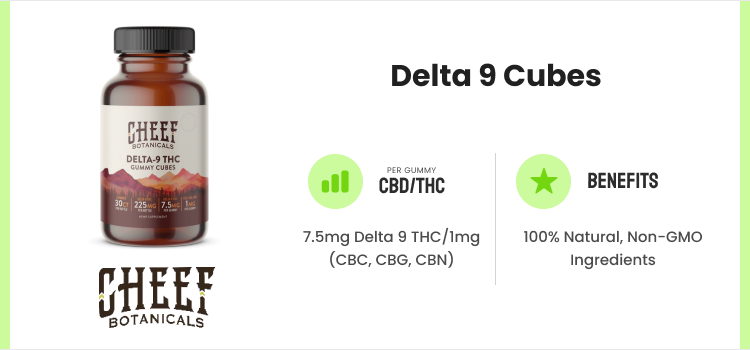 Best Delta 9 Gummies: Top 7 Quality THC Gummies