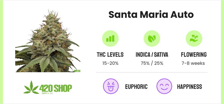 Best Autoflower Seeds: 20 Strains for High-Yields & Potency