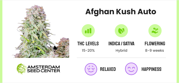 Best Autoflower Seeds: 20 Strains for High-Yields & Potency