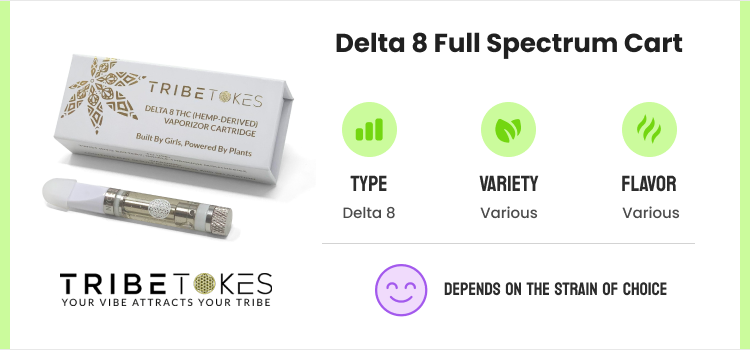 Best Delta 8 Carts: Top THC Cartridges & Brands To Try