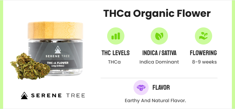 Best THCA Flower: 10 Strongest THCA Flower Strains