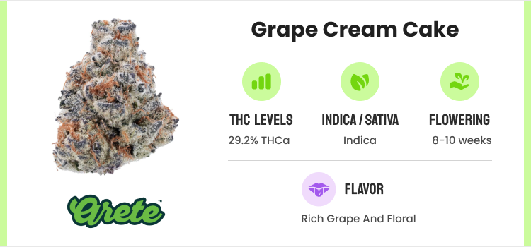 Best THCA Flower: 10 Strongest THCA Flower Strains