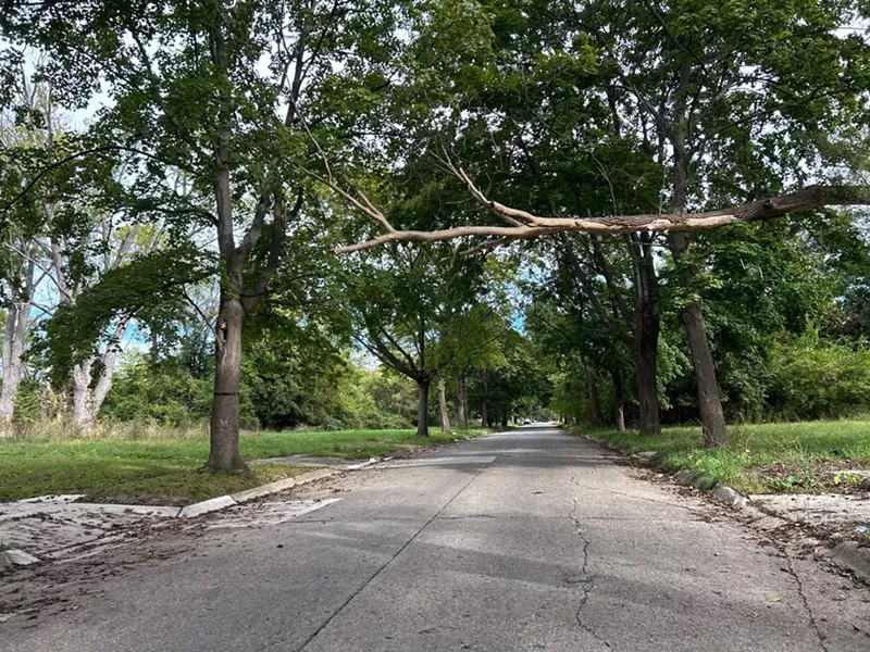 This is the block of Chapel Street where witnesses say they saw two people carrying a heavy, rolled up rug that could have been the body of Lenny Thompson. The block is almost completely vacant now. - Steve Neavling