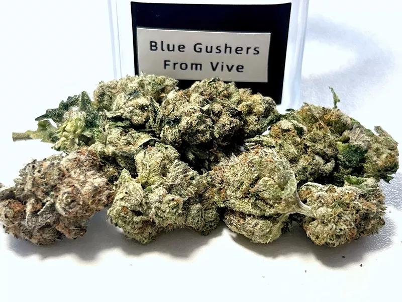 Blue Gushers by Detroit Flower Grow. - Steve Neavling