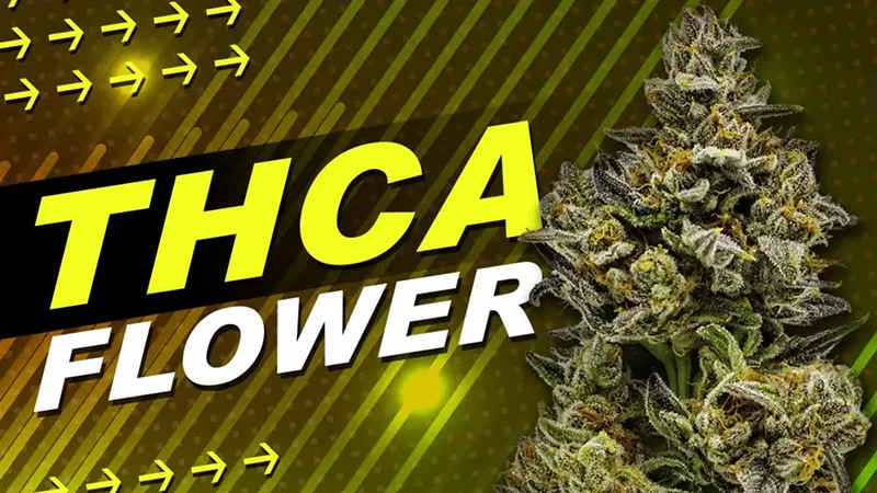 Best THCa Flowers of 2024 That Are Totally Legal for an Amazing High