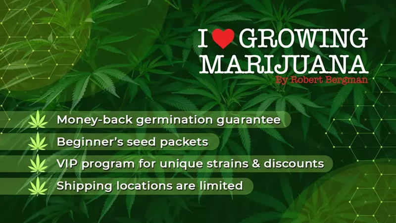 Best Marijuana Seeds for Sale in 2025: Buy Quality Cannabis Seeds At Affordable Prices (8)