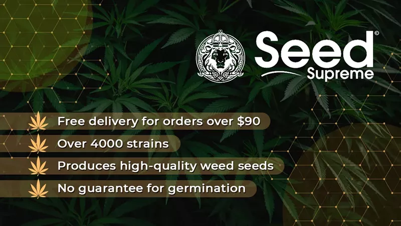 Best Marijuana Seeds for Sale in 2025: Buy Quality Cannabis Seeds At Affordable Prices (15)