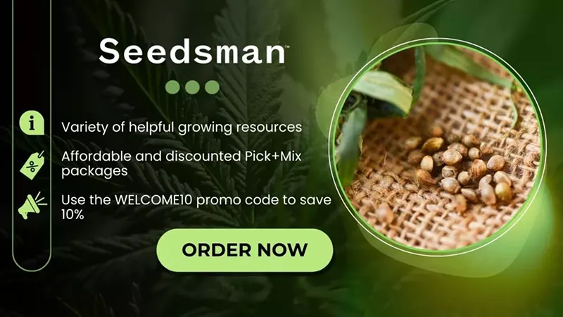 How To Germinate Cannabis Seeds: A Step-by-Step 2025 Guide