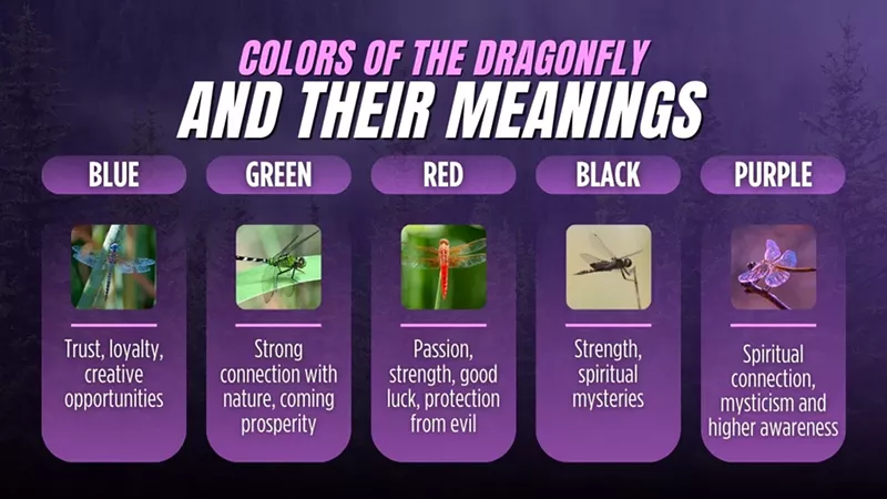 What Does It Mean When a Dragonfly Lands on You?