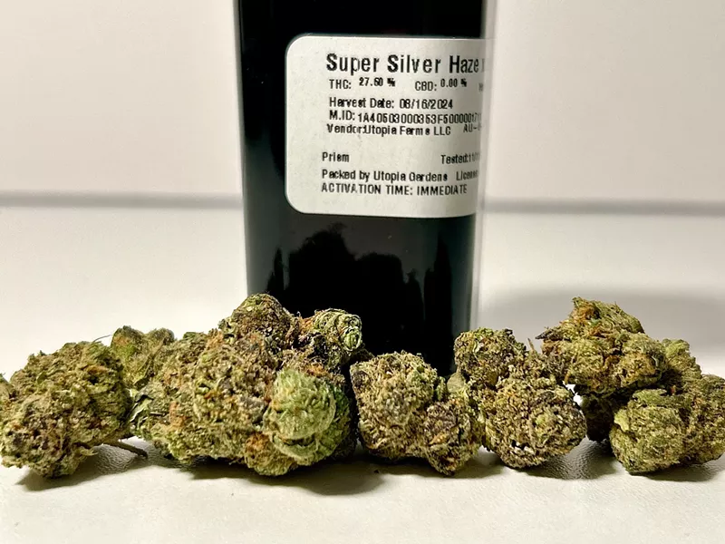 Super Silver Haze x Lavender by Utopia Farms. - Steve Neavling