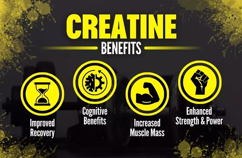 Is Creatine a Steroid? Definition, Benefits, Side Effects and More