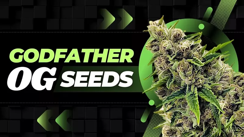 Godfather OG Seeds: Grow Guide, Effects & Where to Buy